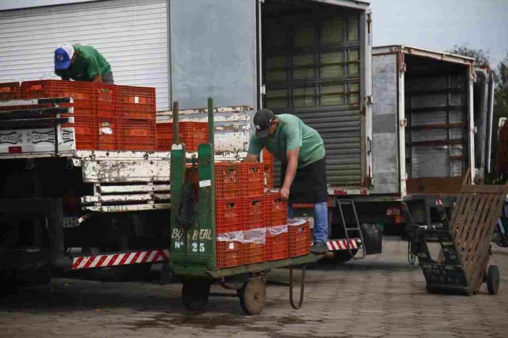 Ceasa-MS, doação de alimentos, Campo Grande