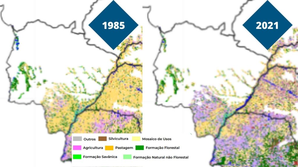 mapbiomas mata atlântica