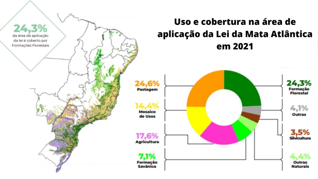 mata atlântica