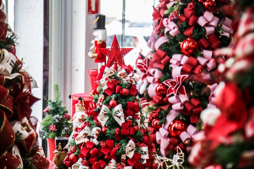 Árvores de Natal estão com preços variados e chegam a mais de R$ 10 mil. Foto: Henrique Arakaki/Jornal Midiamax