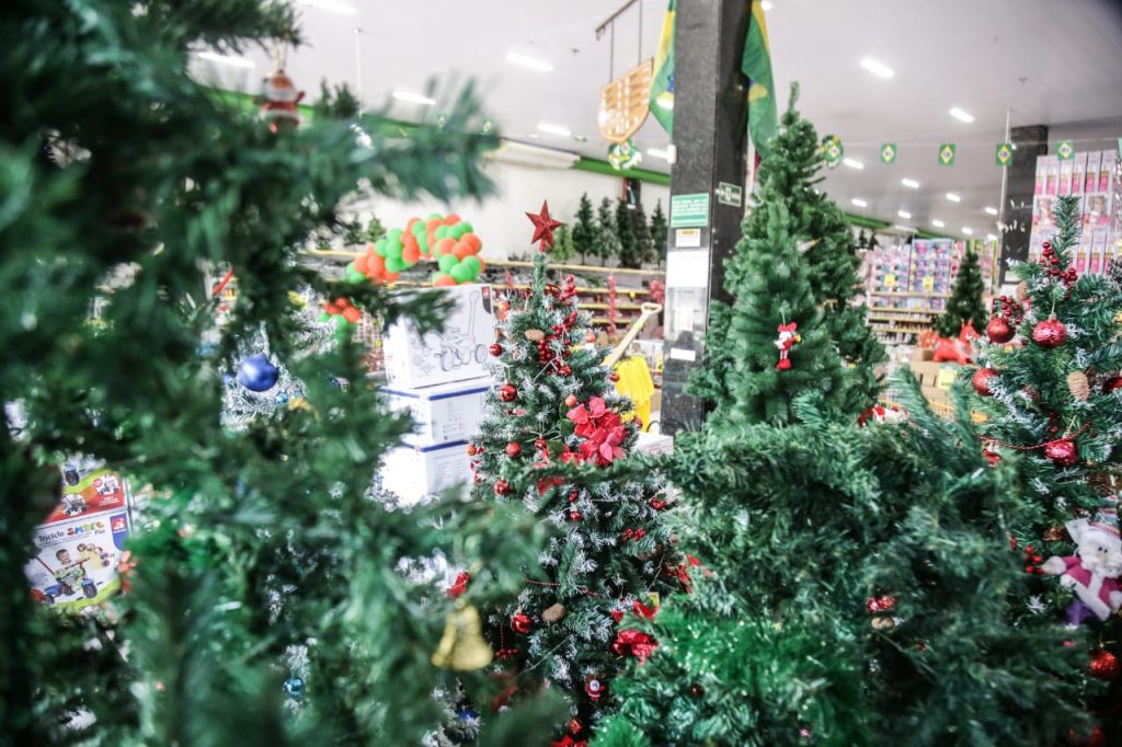 Quem tem criança, compra árvore crua e faz decoração em casa. Foto: Henrique Arakaki/Jornal Midiamax