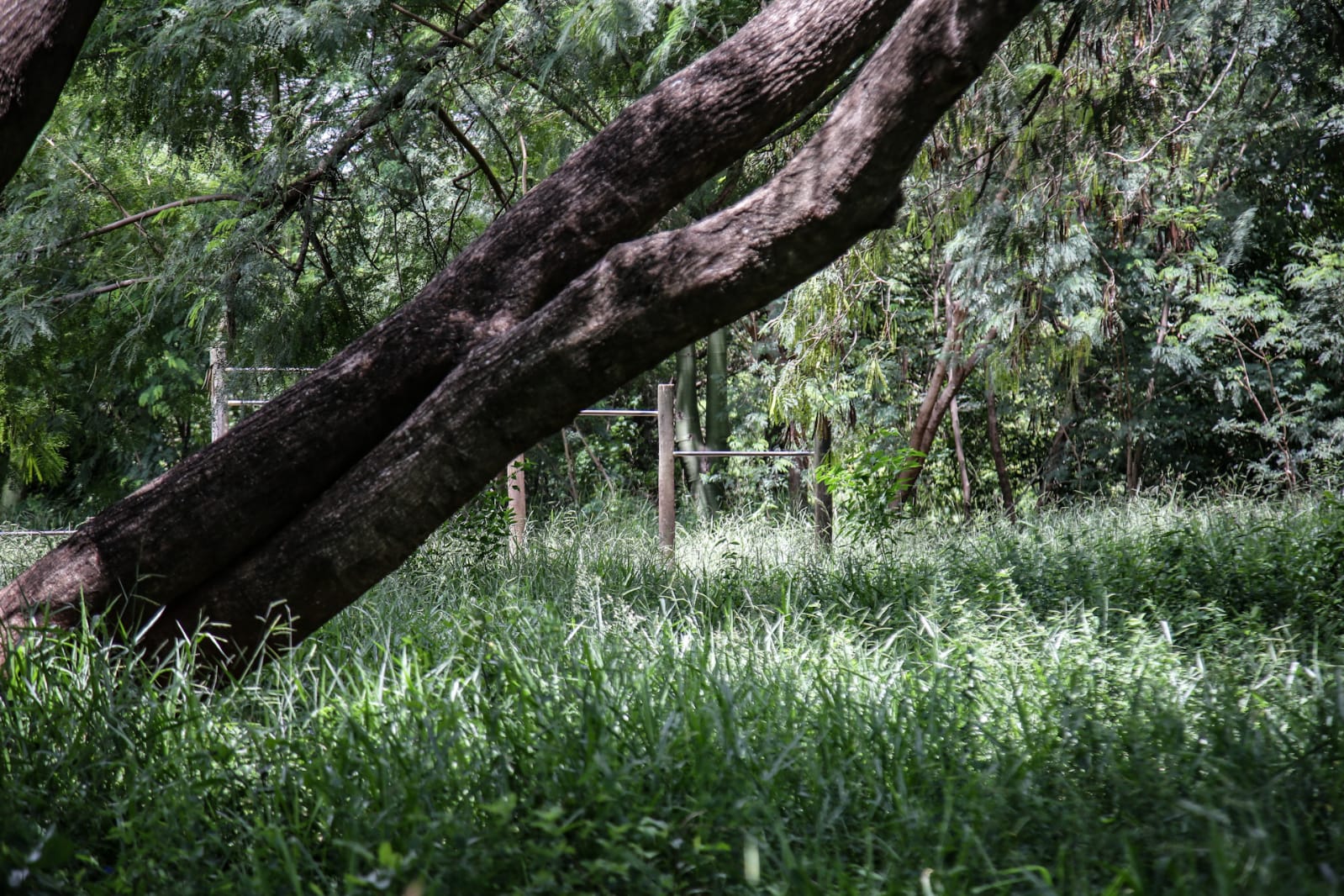 Parque Ecológico Sóter