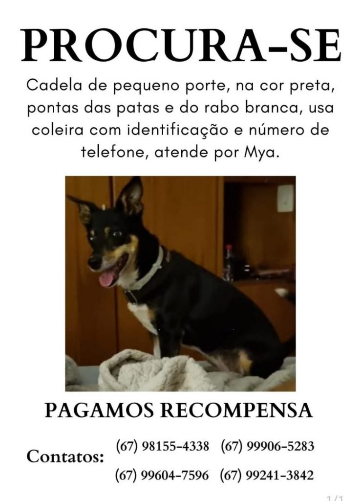 Ajude a achar o paradeiro de Mya - (Foto: Divulgação)