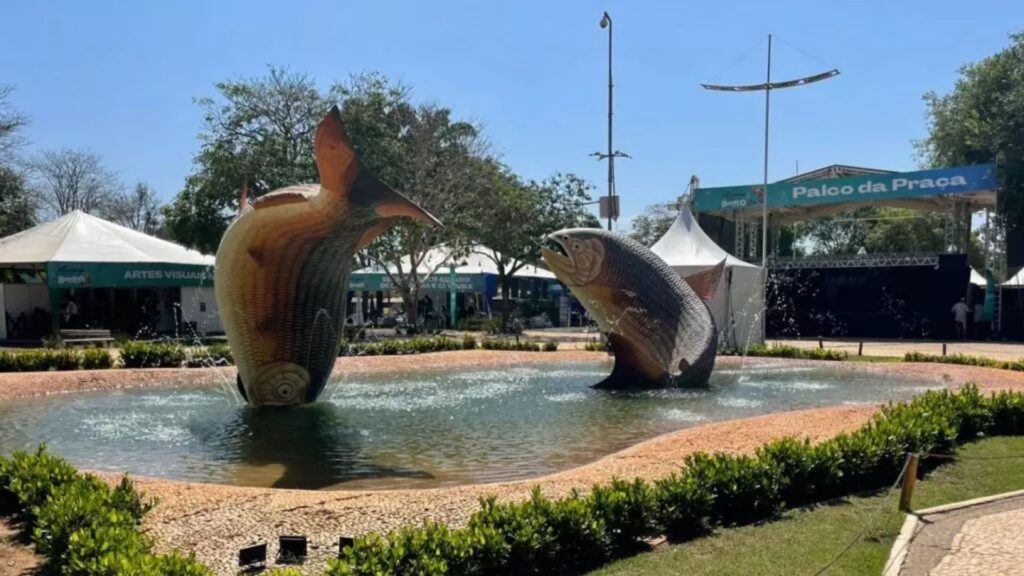 bonito