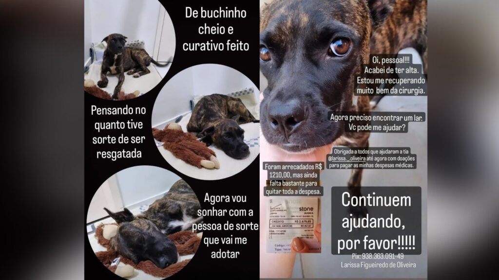 Foto: Larissa Oliveira/Arquivo Pessoal