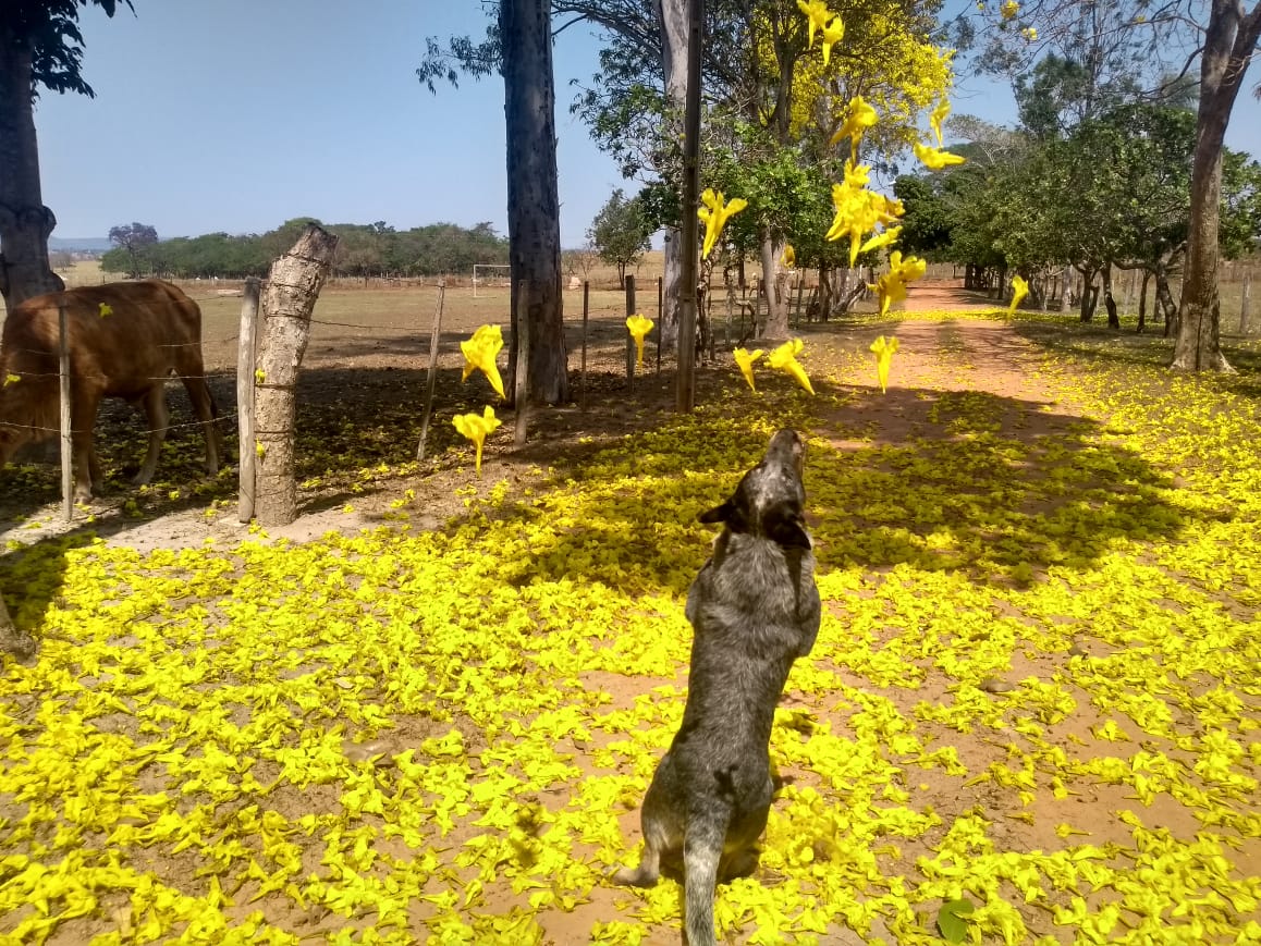 Pousada-guerreiro-04