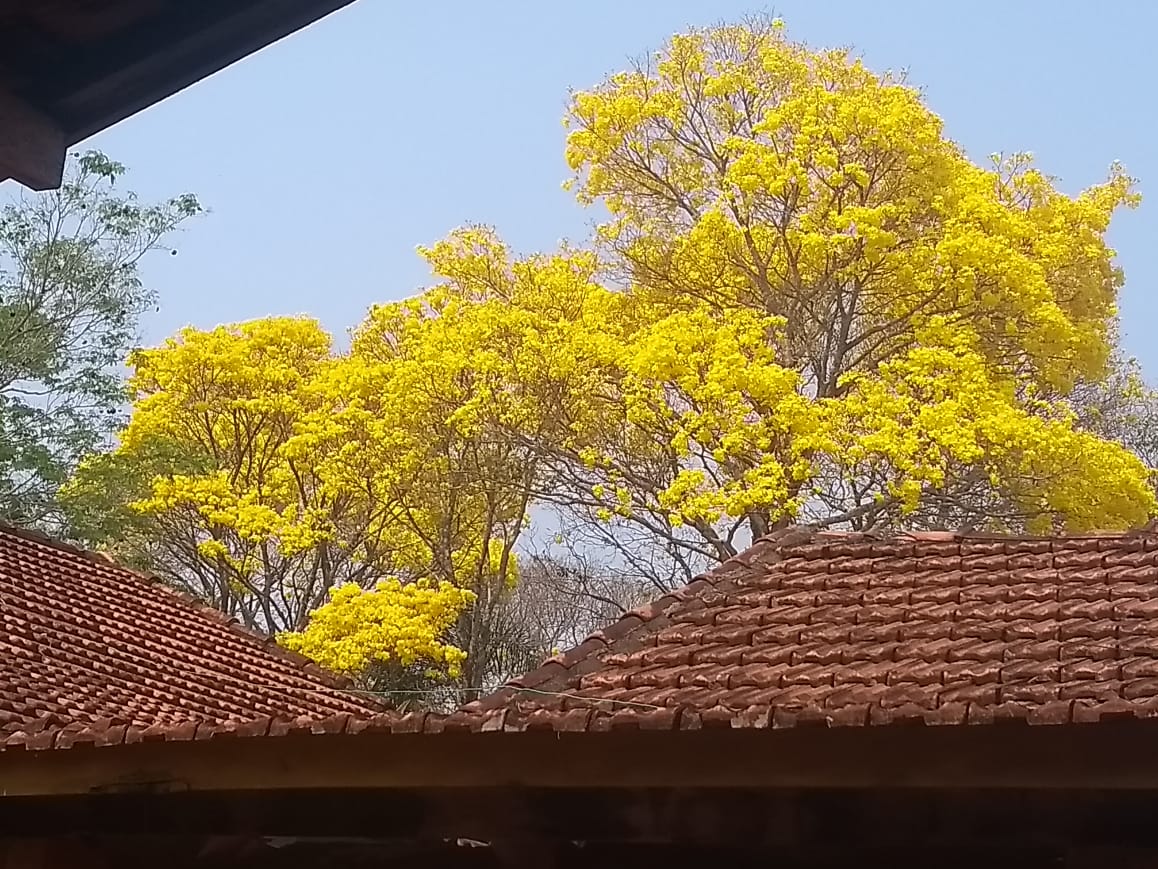 Pousada-guerreiro-05