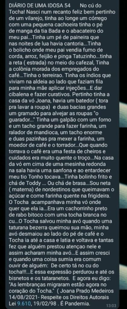 diário de uma idosa
