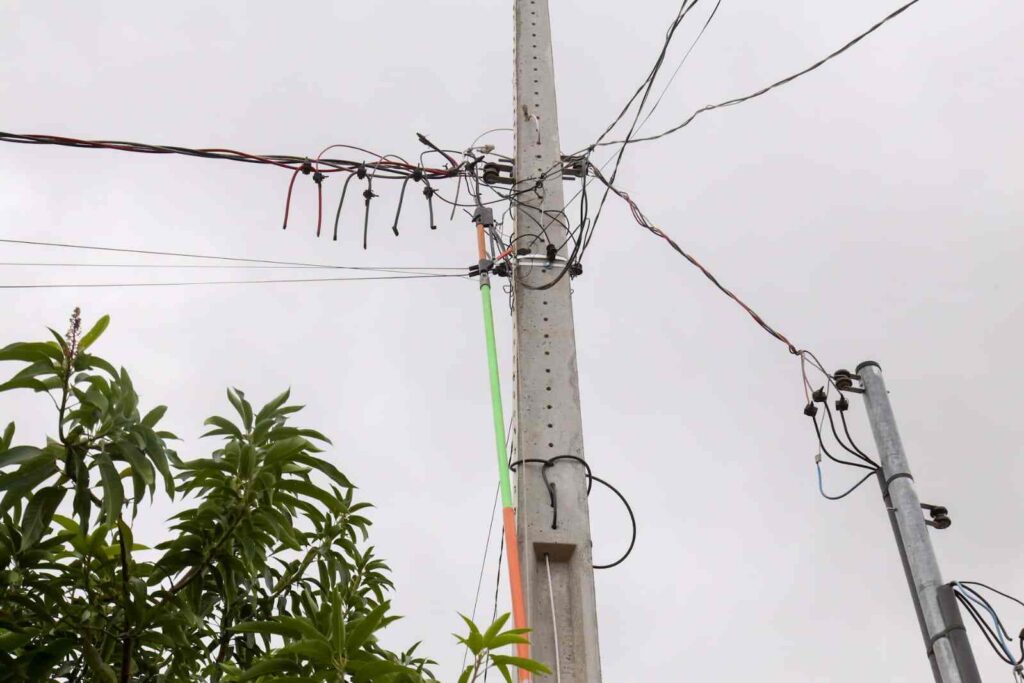 energisa-gatos2