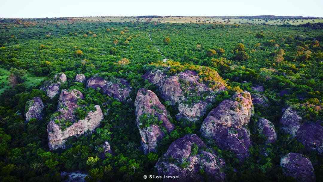 fazenda-grejinha03