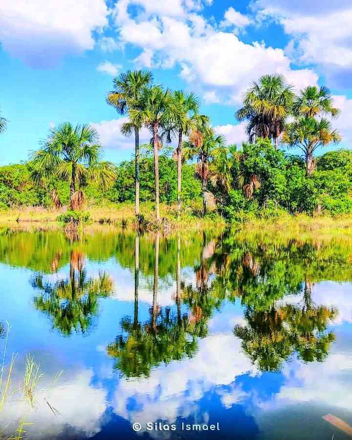 fazenda-grejinha05