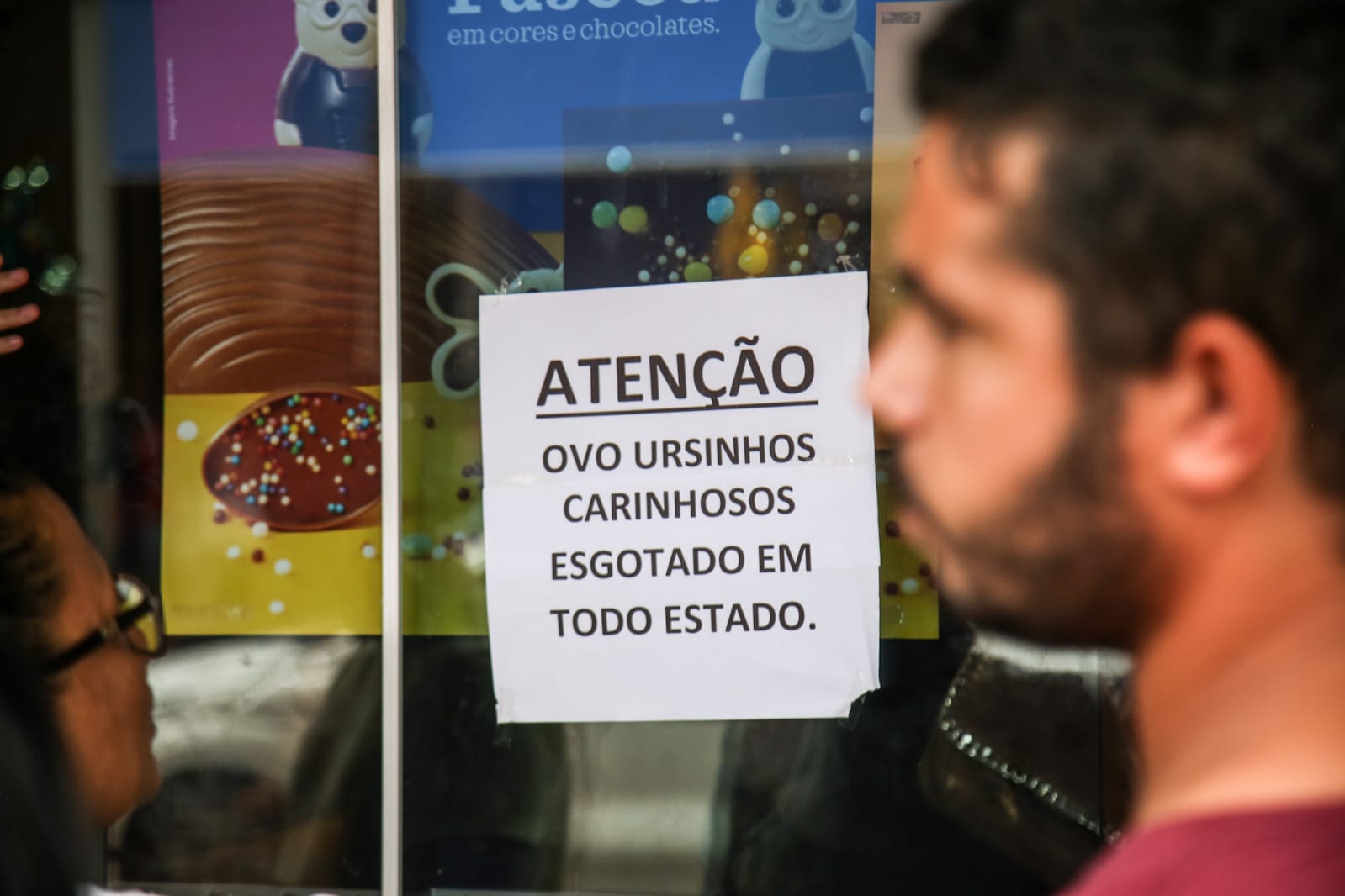 ursinhos