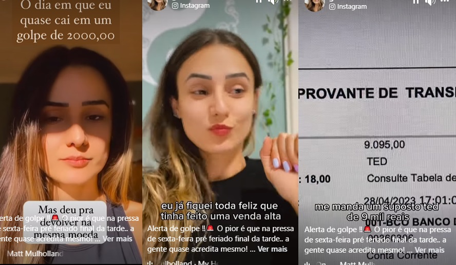 Empresária deu todos os detalhes do caso nas redes sociais - (Fotos: Reprodução) golpista