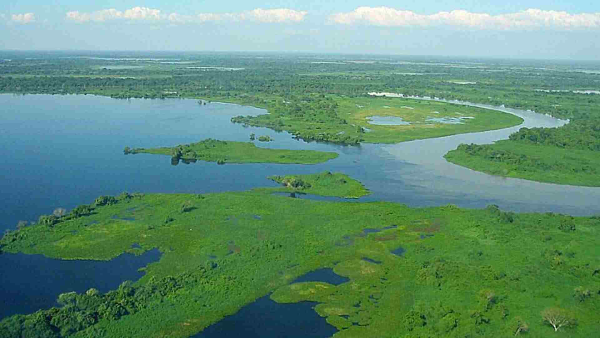 Pantanal