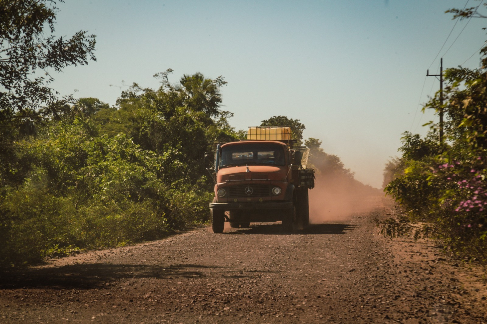 Uma das estradas no Pantanal de MS. Fonte: Marcos Ermínio/Jornal Midiamax