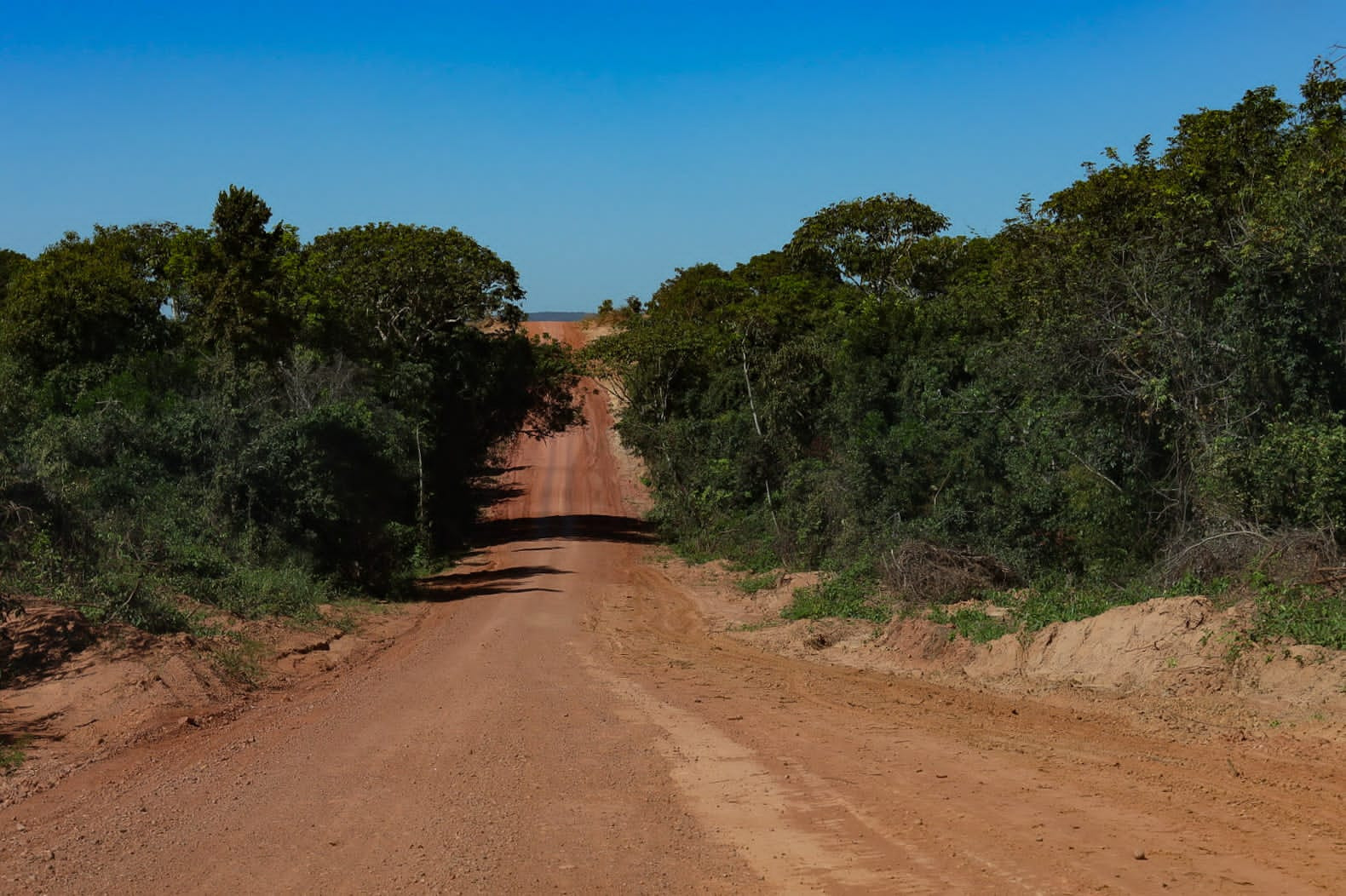 Estrada que segue para a fazenda Três Marias. Foto: Marcos Ermínio/Jornal Midiamax
