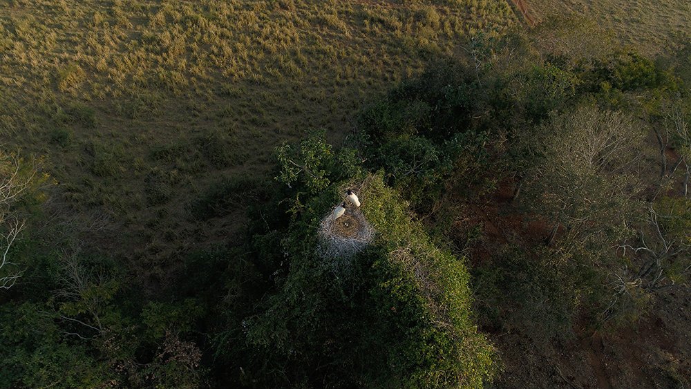 voos panoramicos