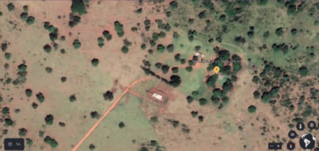 Campo Belo