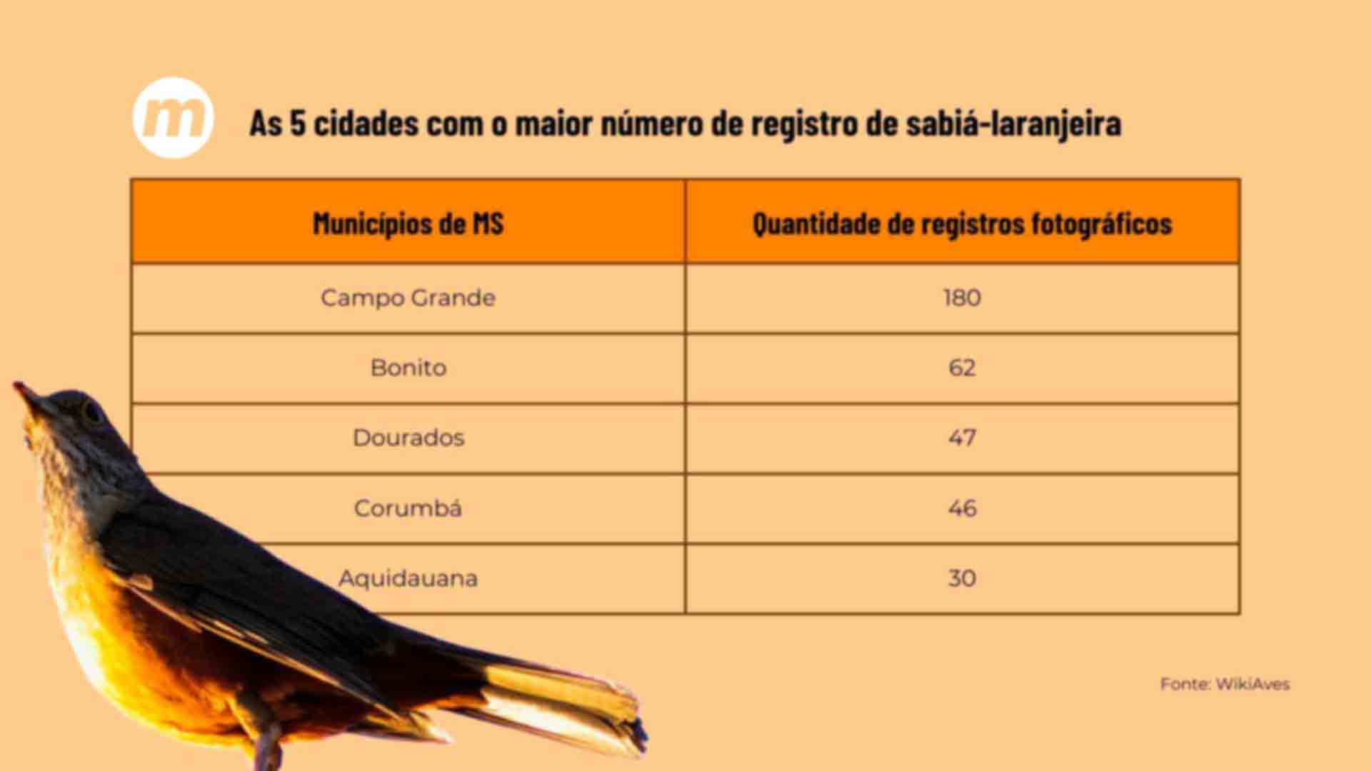 Os 5 municípios de MS com maior registro fotográfico do sabiá-laranjeira (Madu Livramento, Midiamax)