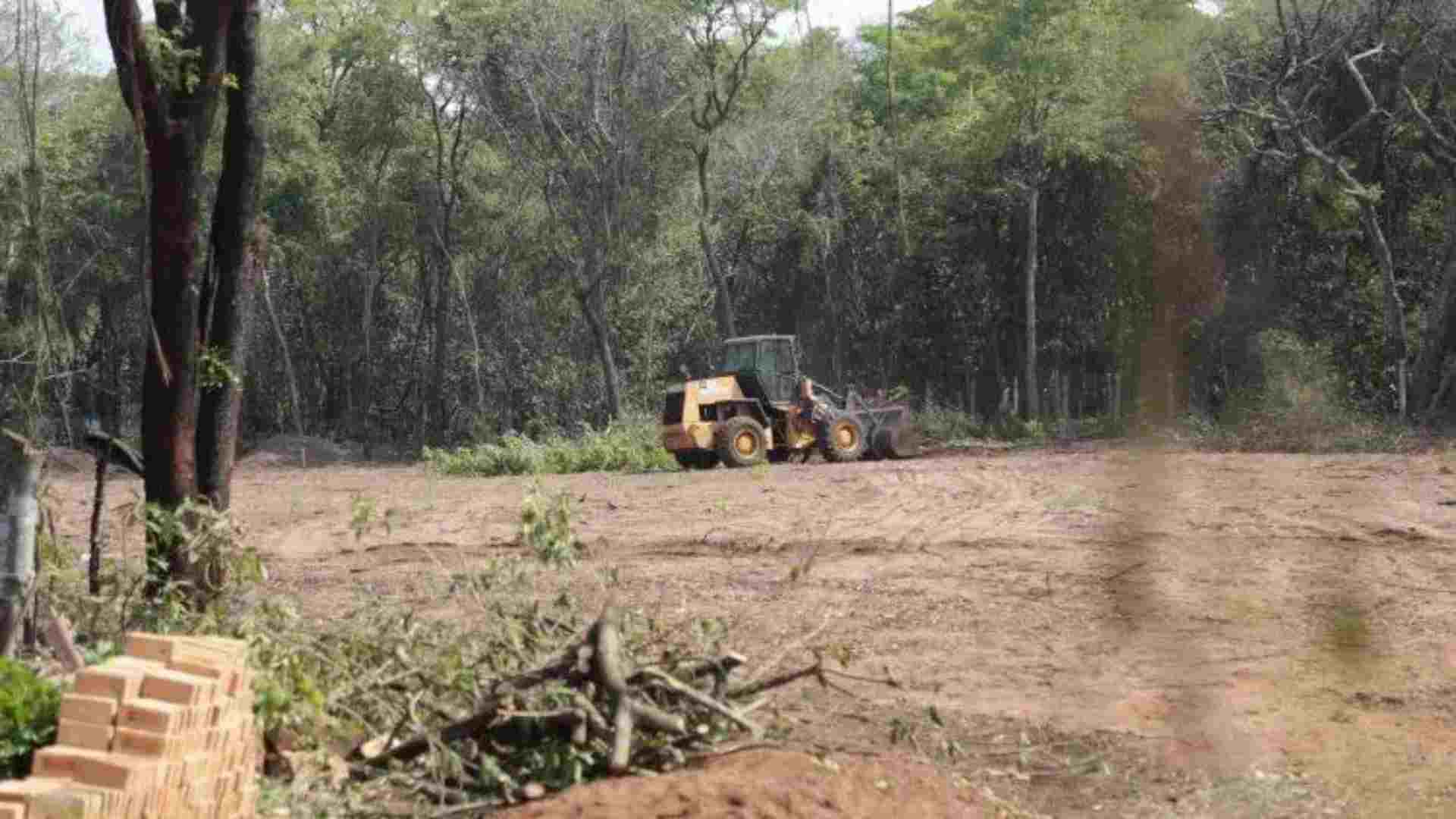 desmatamento parque dos poderes supressão acordo ms