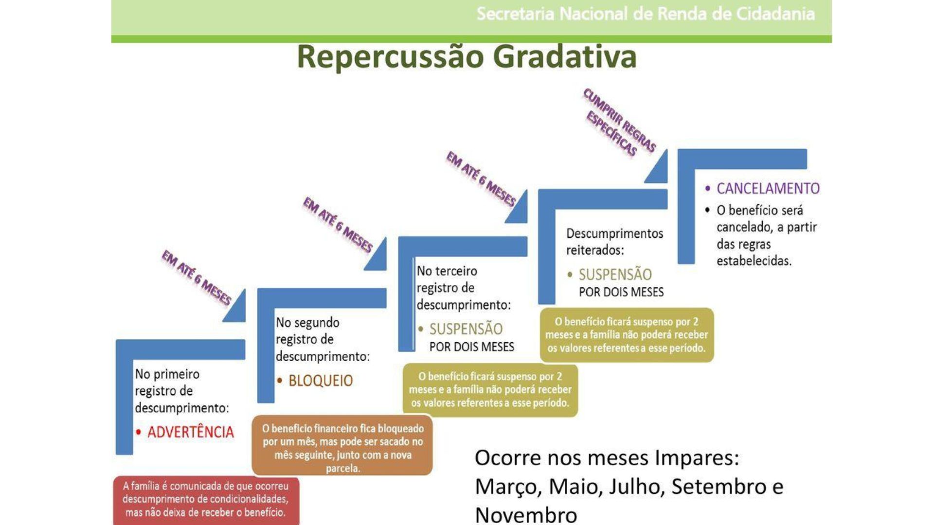 Bolsa familia