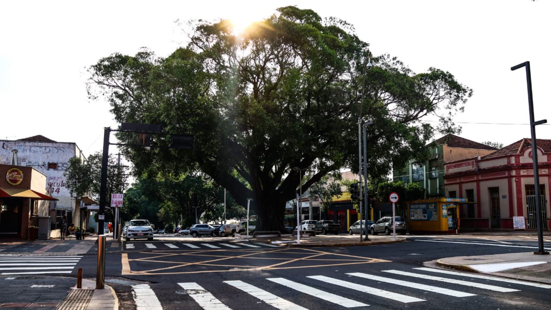 Mato Grosso