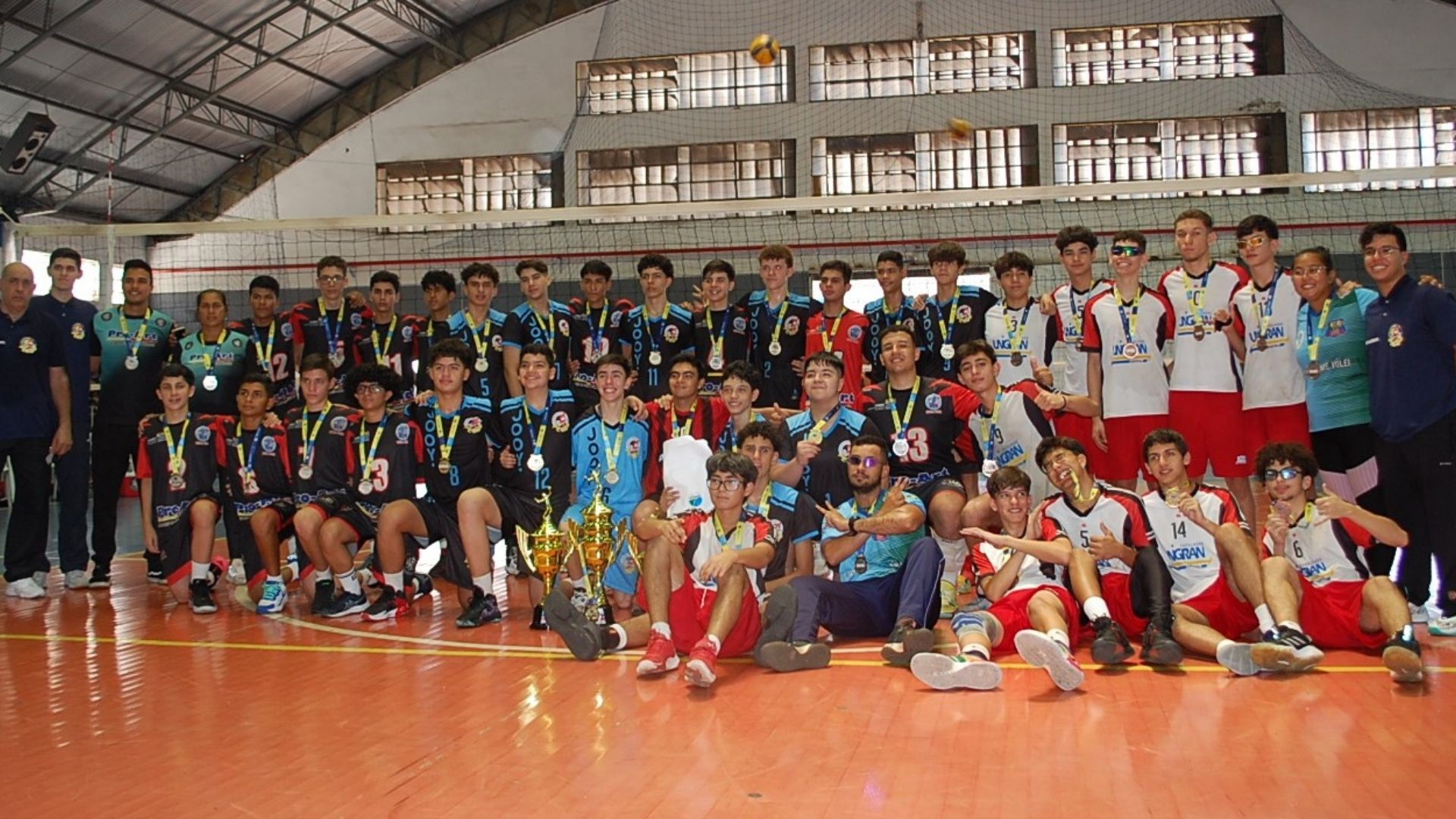 Vôlei 