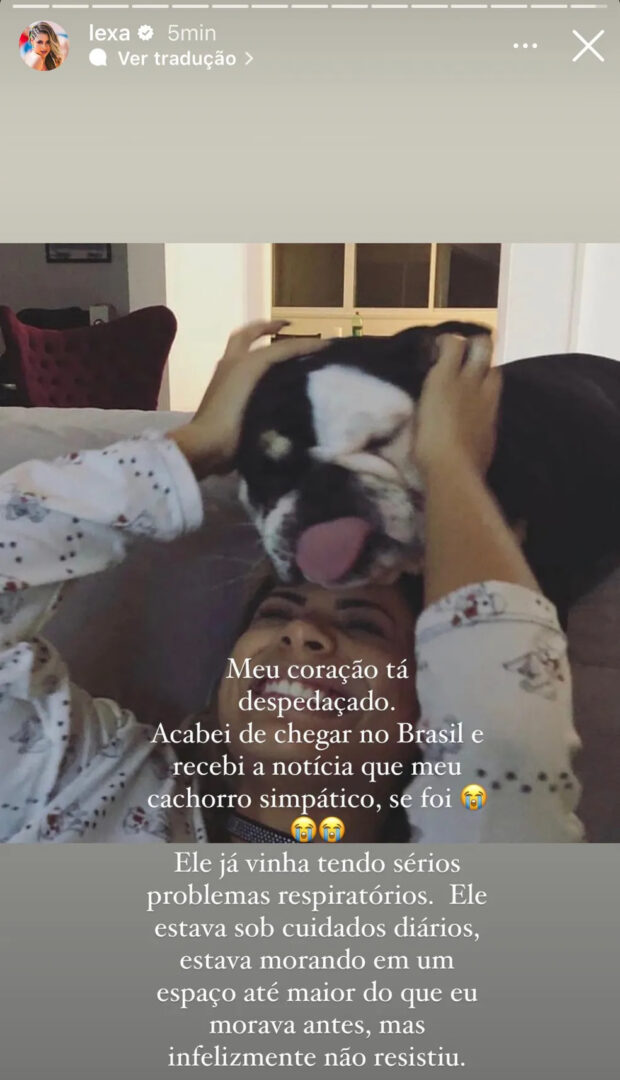 cachorro de lexa