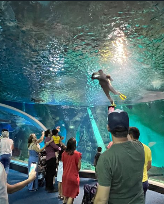 Mergulhador roubando a cena - (Foto: Reprodução, Bioparque Pantanal)