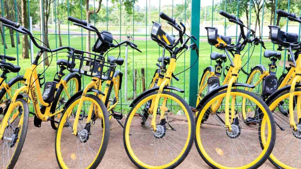 bicicletas