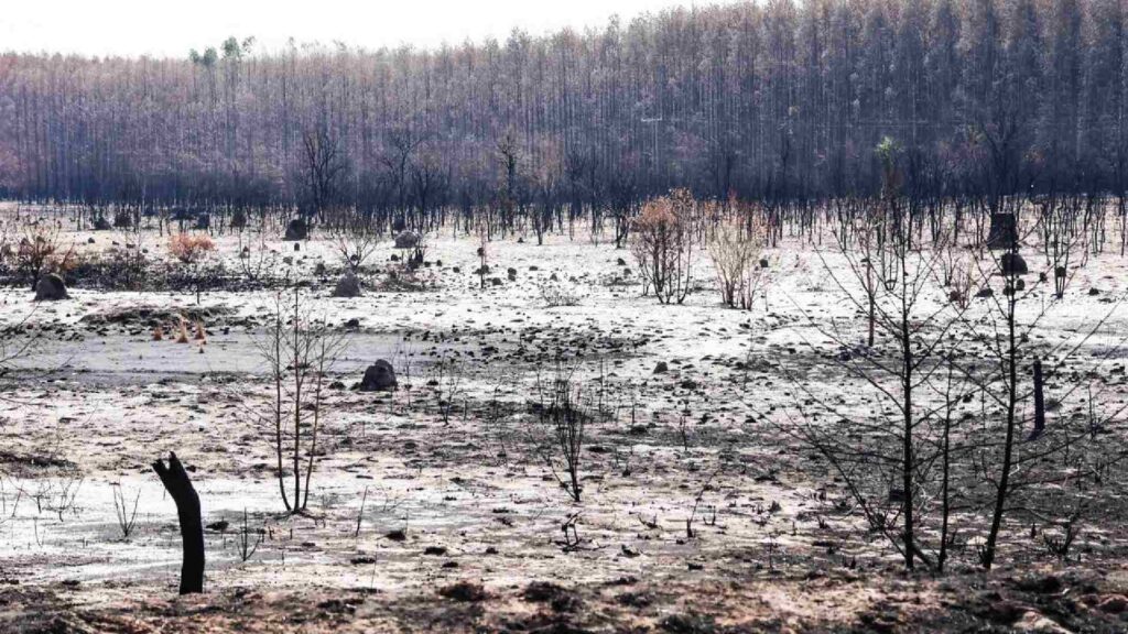 Incêndios na região de Água Clara