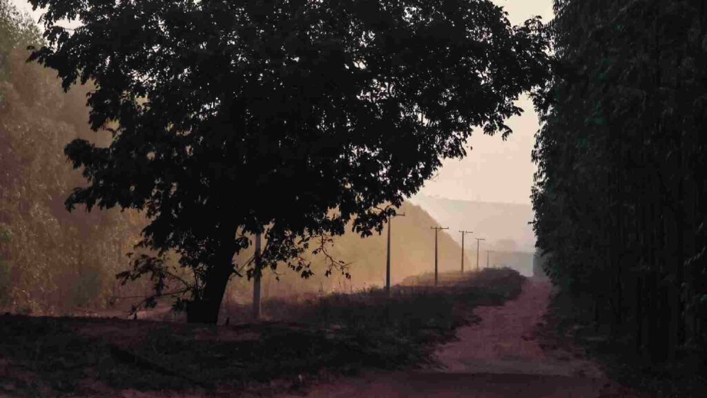 Incêndios na região de Água Clara