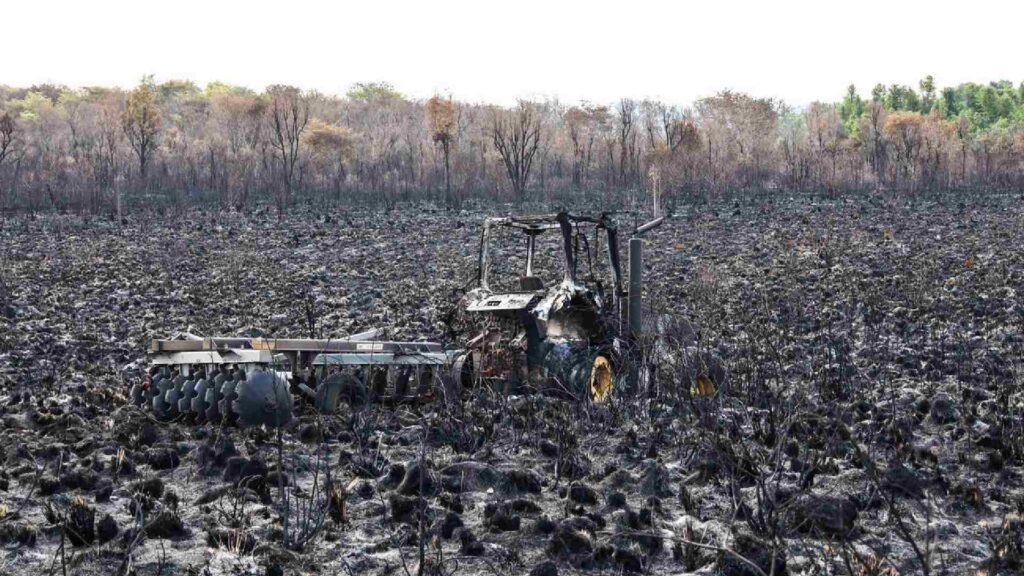 Incêndios na região de Água Clara