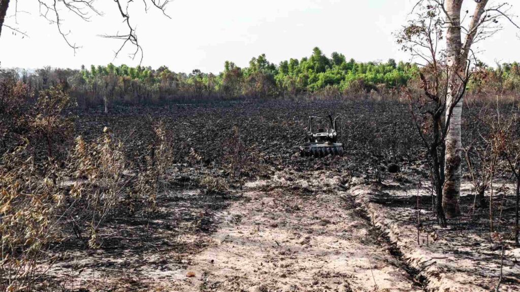 Incêndios na região de Água Clara
