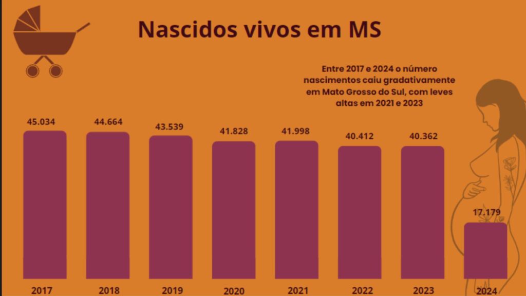 Nascidos vivos em MS