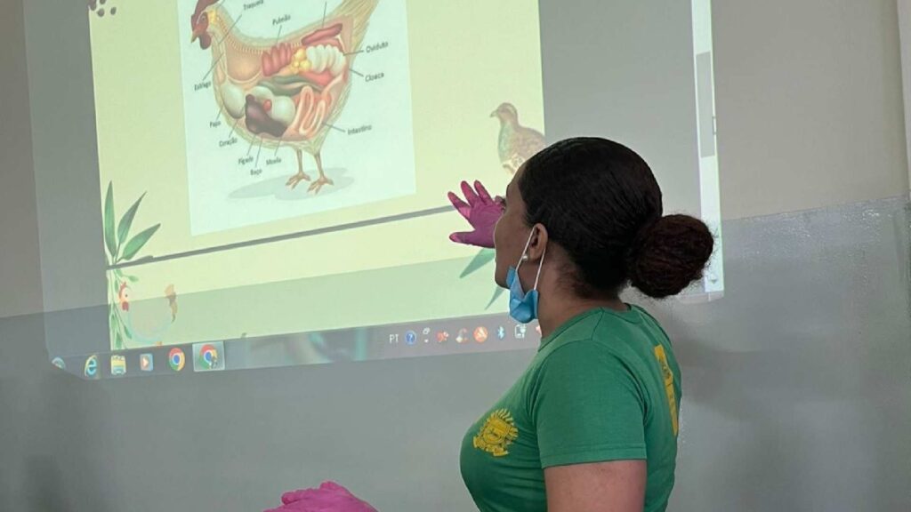 Tecnologia nas escolas