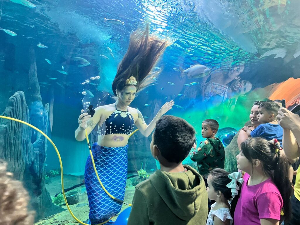 Público ficou encantado com sereia em Campo Grande - (Foto: Bioparque Pantanal)