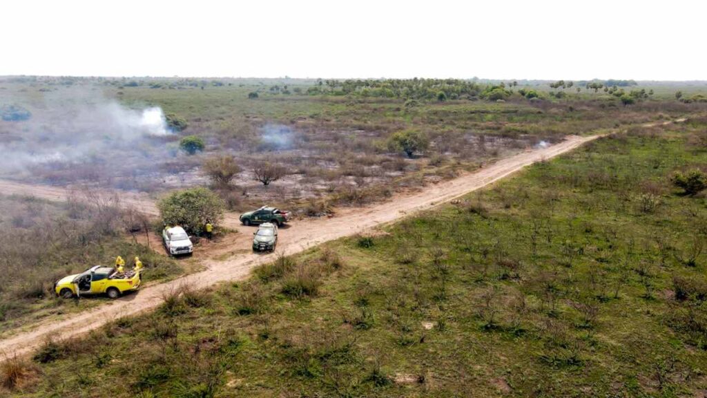 pantanal