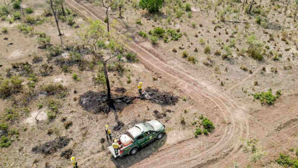 pantanal