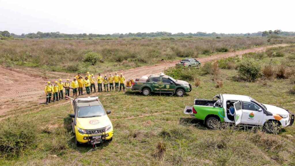 pantanal