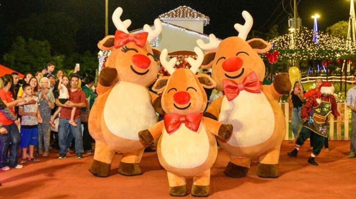 familia de renas natal de campo grande 2